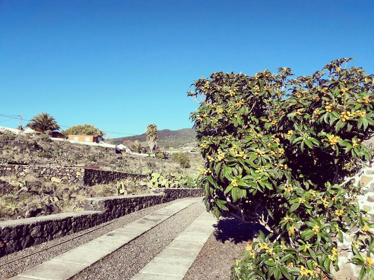 Sea And Mountain View Apartment Los Llanos De Aridane Spanien